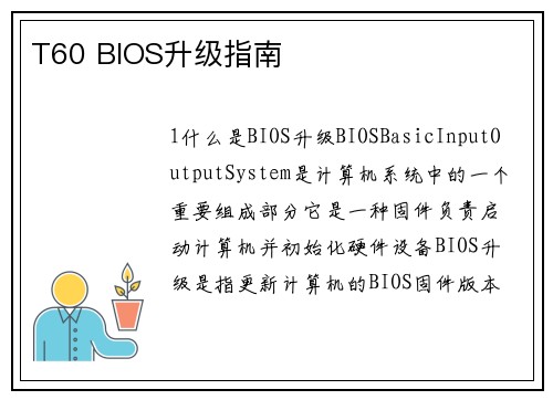 T60 BIOS升级指南